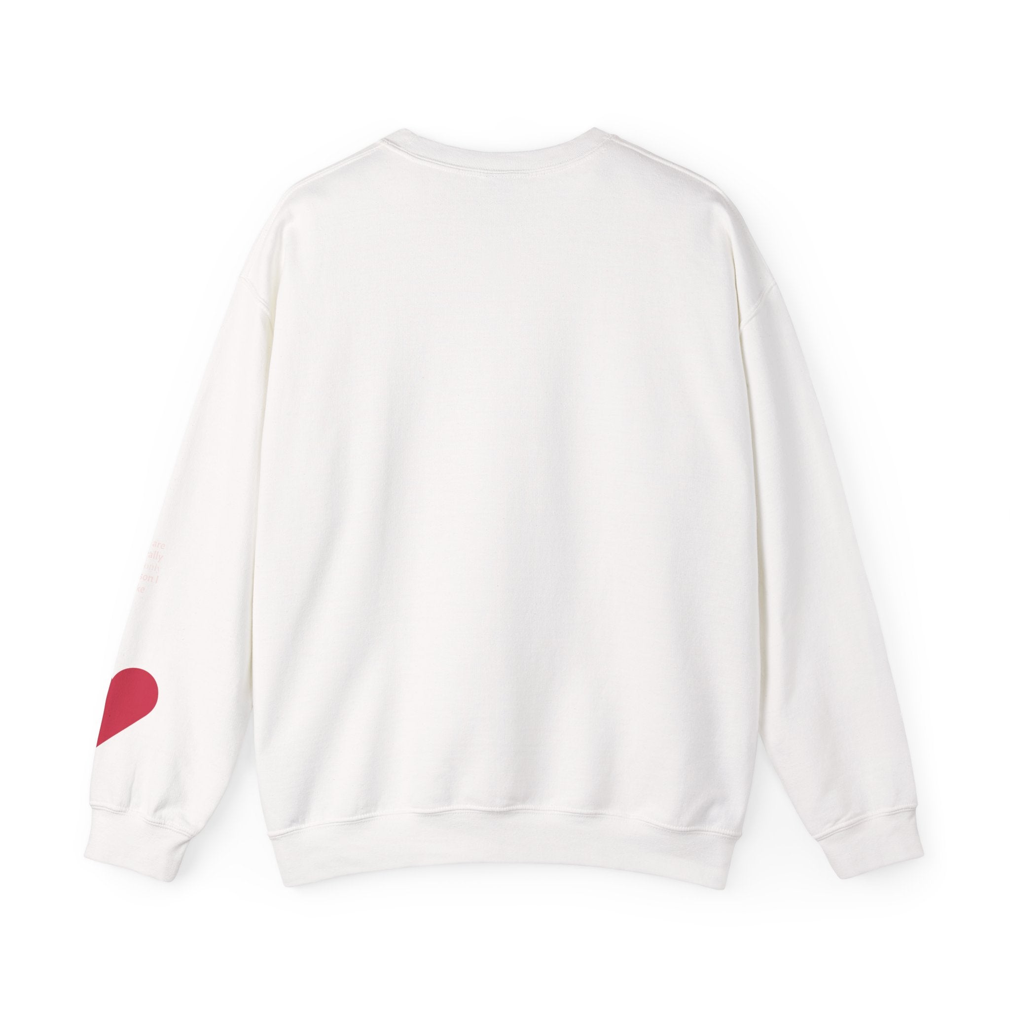 Chpa Maths class Owl Crewneck Sweatshirt